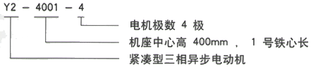 YR系列(H355-1000)高压YR4002-6三相异步电机西安西玛电机型号说明